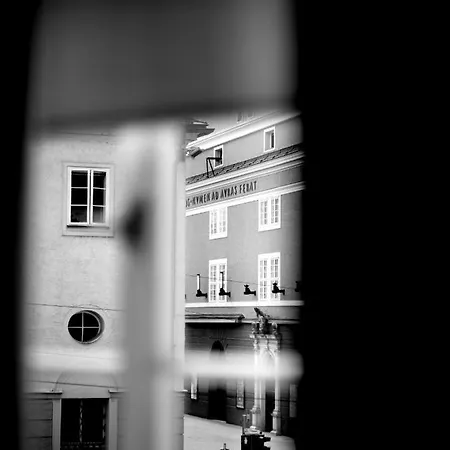 Arthotel Blaue Gans فندق 4*