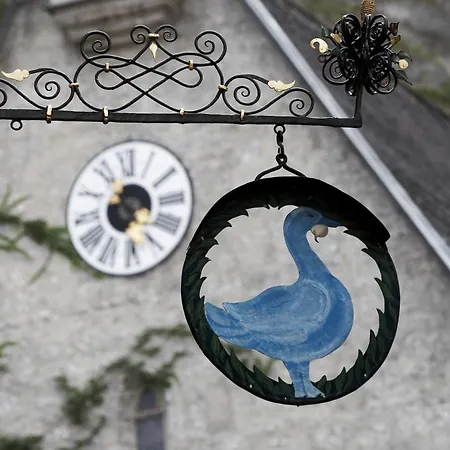 Arthotel Blaue Gans 4*