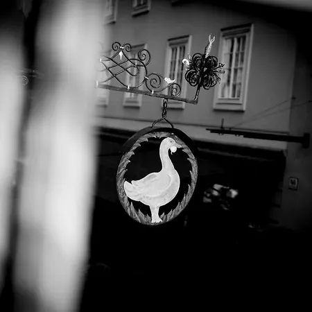 Arthotel Blaue Gans 4* Salzburg