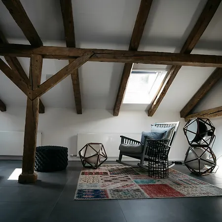 Arthotel Blaue Gans فندق