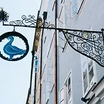 Arthotel Blaue Gans