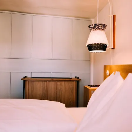 Arthotel Blaue Gans Hotel Salisburgo