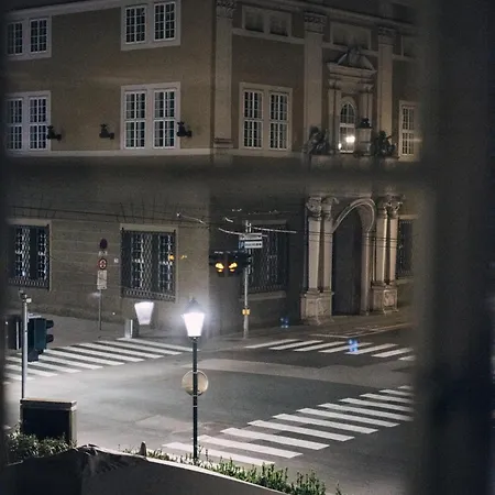 Arthotel Blaue Gans 酒店