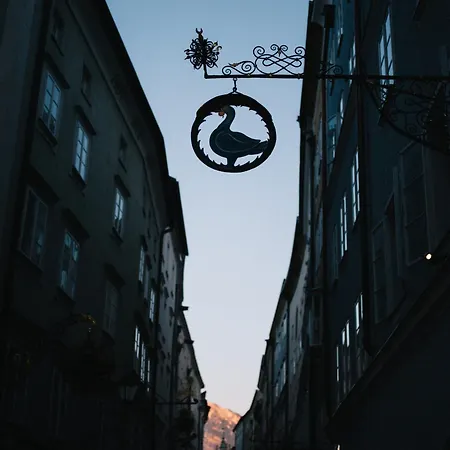 Arthotel Blaue Gans 4* Salzburgo