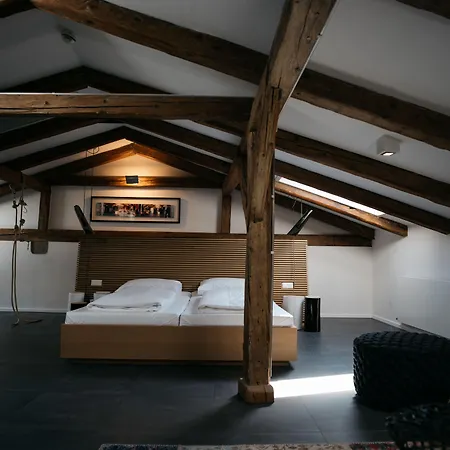 Отель Arthotel Blaue Gans