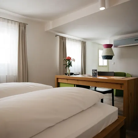 Arthotel Blaue Gans Отель