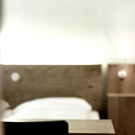 Arthotel Blaue Gans