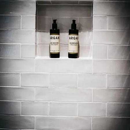 Arthotel Blaue Gans 酒店