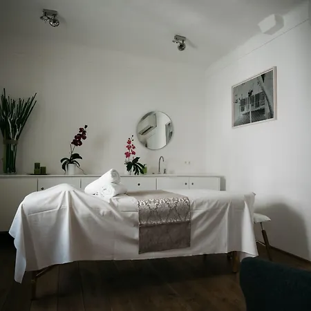 Arthotel Blaue Gans