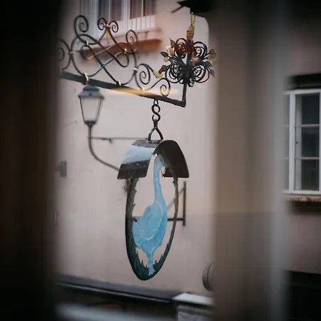 Arthotel Blaue Gans Зальцбург