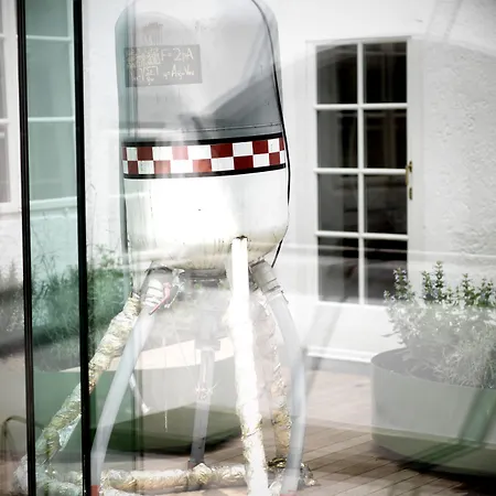 Arthotel Blaue Gans 萨尔茨堡