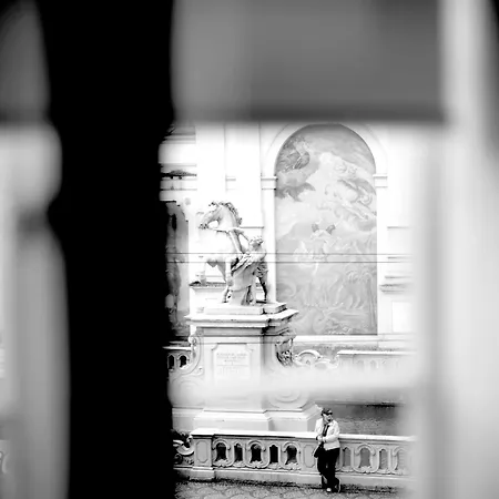 Отель Arthotel Blaue Gans