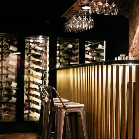 Отель Arthotel Blaue Gans 4*