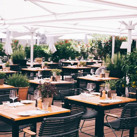 Arthotel Blaue Gans 酒店