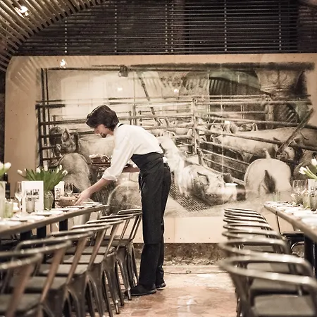 Arthotel Blaue Gans 萨尔茨堡