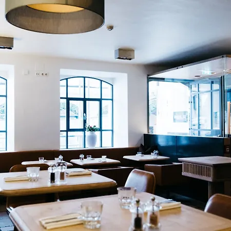 Arthotel Blaue Gans 酒店 4*