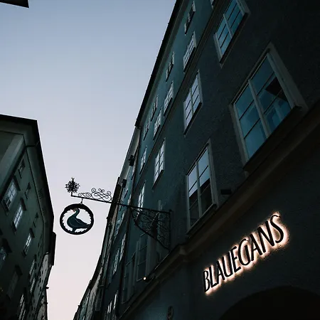 酒店 Arthotel Blaue Gans