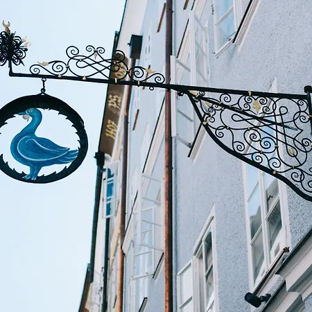 Arthotel Blaue Gans