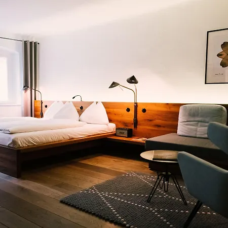 Отель Arthotel Blaue Gans 4*