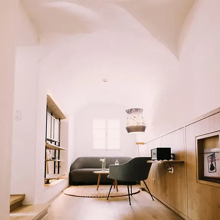 Arthotel Blaue Gans 호텔