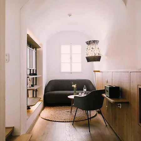 Arthotel Blaue Gans 酒店