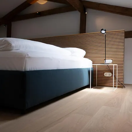 Szálloda Arthotel Blaue Gans