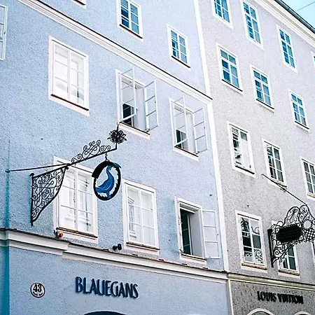 Arthotel Blaue Gans 4*