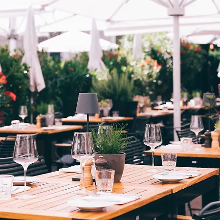 Arthotel Blaue Gans