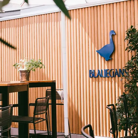 Arthotel Blaue Gans Salzburgo