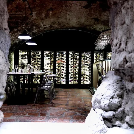 酒店 Arthotel Blaue Gans