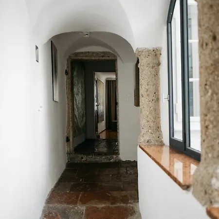 酒店 Arthotel Blaue Gans 萨尔茨堡