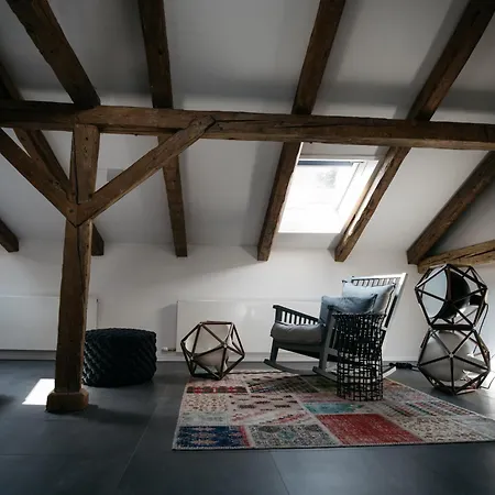 Arthotel Blaue Gans 酒店