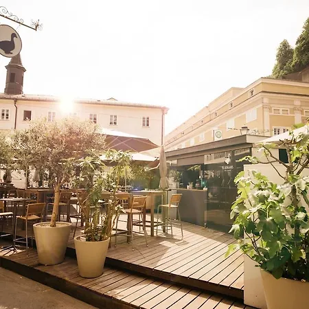 Arthotel Blaue Gans Σάλτσμπουργκ