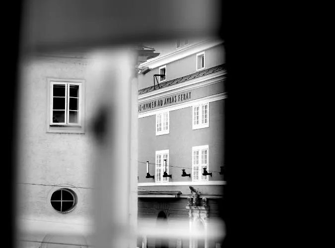 Arthotel Blaue Gans Hotel 4*