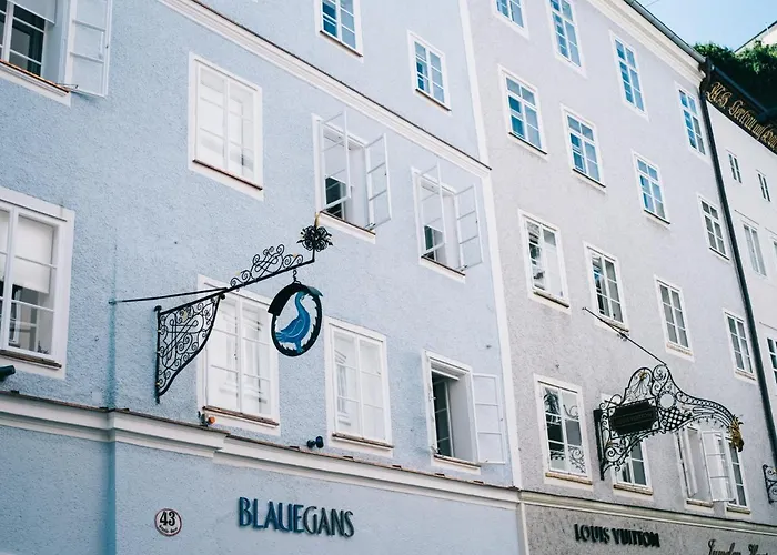 Arthotel Blaue Gans מלון זלצבורג