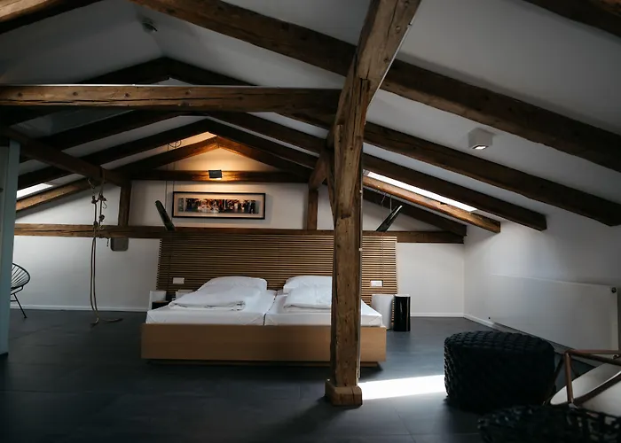 מלון Arthotel Blaue Gans