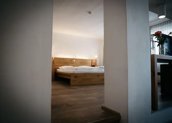 Arthotel Blaue Gans 4*