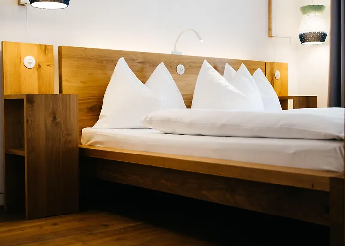 Arthotel Blaue Gans מלון