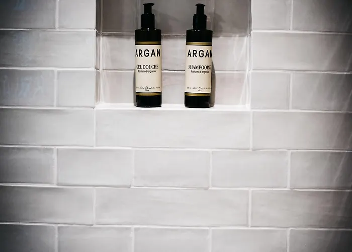 Arthotel Blaue Gans מלון