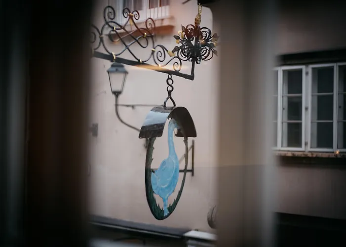 Arthotel Blaue Gans זלצבורג