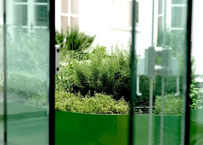 Arthotel Blaue Gans Hotel