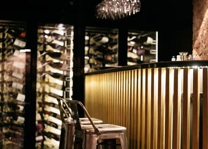 מלון Arthotel Blaue Gans 4*