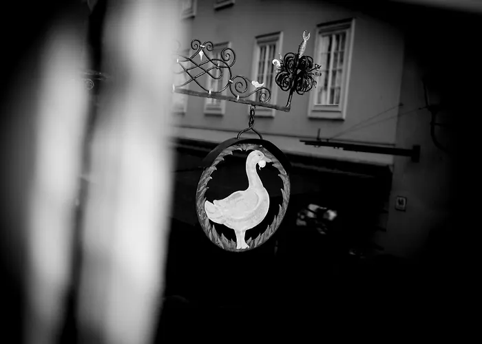 Arthotel Blaue Gans 4* Solnohrad