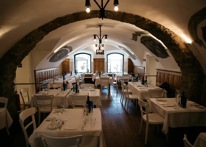 Arthotel Blaue Gans Hotel 4*