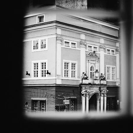 Arthotel Blaue Gans Salzburg