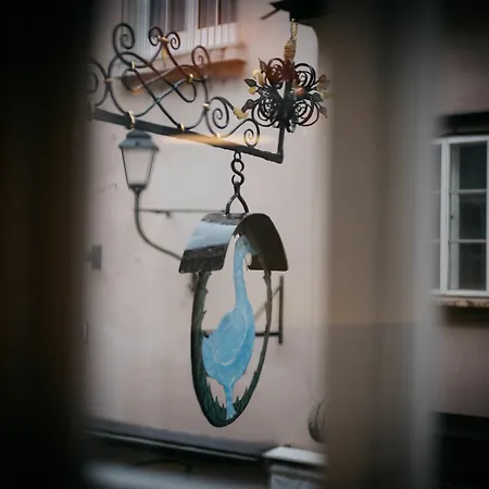 Arthotel Blaue Gans