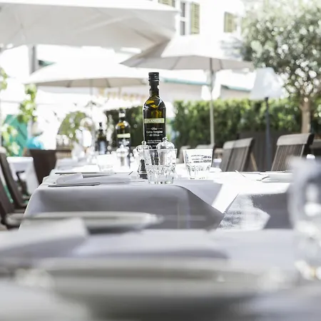 Arthotel Blaue Gans 4*